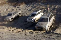 Nissan Pathfinder - roy