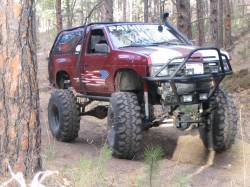 Nissan Pathfinder - bigfisch