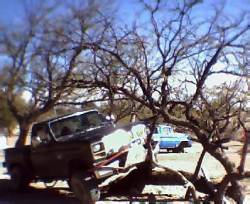 Nissan  - pablo terrazas