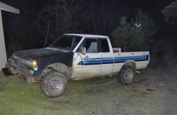 Nissan Hardbody - Wil