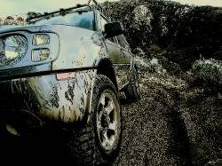 Nissan Xterra - william wilder