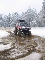 Nissan Pathfinder - bigfisch