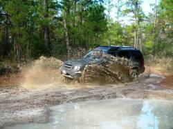 Nissan Xterra - dustin graham