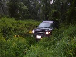 Nissan Xterra - Cesar paredes