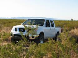 Nissan Frontier - the_terribleturk