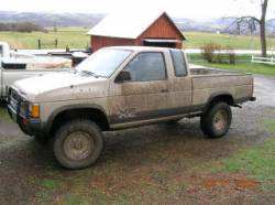 Nissan Hardbody - tbecktold