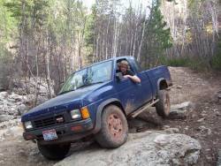 Nissan Hardbody - Matt