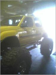 Nissan Xterra - big bird