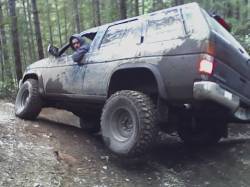 Nissan Pathfinder - nathan wegner