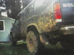 Nissan Hardbody - nathan wegner