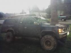 Nissan Hardbody - nathan wegner