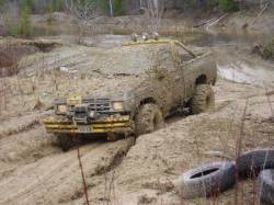 Nissan Hardbody - Camille Colasacco