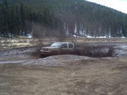 Nissan Frontier - Kevin