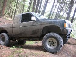 Nissan Hardbody - Gary Stone