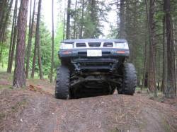 Nissan Hardbody - Gary Stone