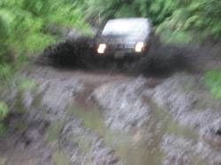 Nissan Hardbody - Gary Stone