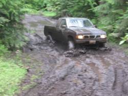 Nissan Hardbody - Gary Stone