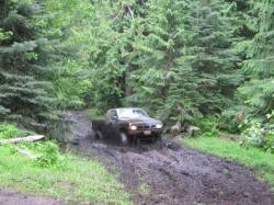 Nissan Hardbody - Gary Stone