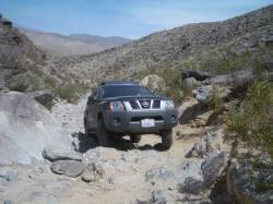 Nissan Xterra - xtatik