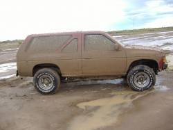 Nissan Pathfinder - animal