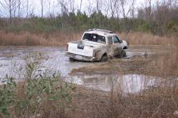 Nissan Frontier - pinhead