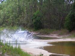 Nissan Frontier - Darren Saunders