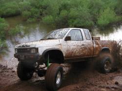 Nissan Hardbody - dylan
