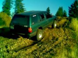 Nissan Pathfinder - Shelby