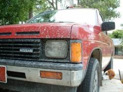 Nissan Hardbody - Ed Dunne (psi_bone_ed