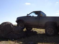 Nissan Hardbody - Brady