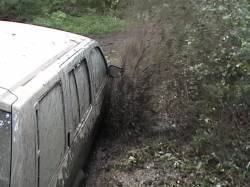 Nissan Pathfinder - DeO
