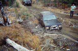 Nissan Pathfinder - Shaun