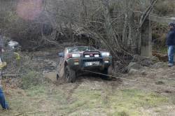 Nissan  - Elias Alves