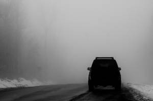 Nissan Xterra - Xcellent Fog