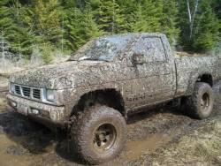Nissan Hardbody - John Wirstiuk
