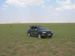 Nissan Pathfinder - mashrf