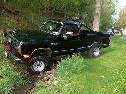Nissan  - Tj