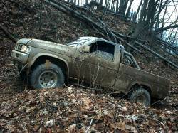 Nissan Hardbody - nate
