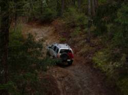 Nissan Xterra - Xtrail