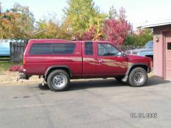Nissan Hardbody - andrewj503