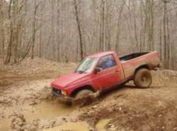 Nissan Hardbody - Randy