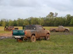 Nissan Hardbody - RickyH