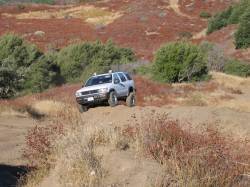 Nissan Pathfinder - pathfinder