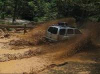 Nissan Xterra - Matt