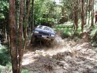 Nissan Pathfinder - Summer fun