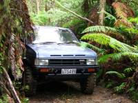 Nissan Pathfinder - New Zealand bush