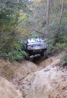 Nissan Pathfinder - Nissan Terrano