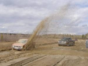 Nissan Hardbody - '95 hardbody