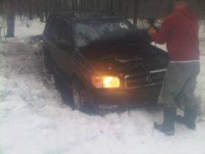 Nissan Pathfinder - spring fling bush thing