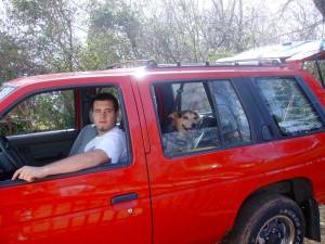 Nissan Hardbody - stock